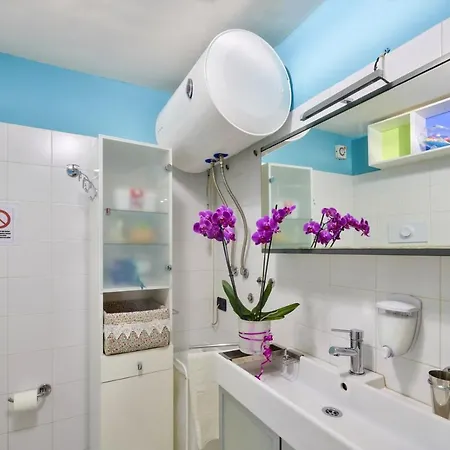 아파트 Le Petit Jolie *