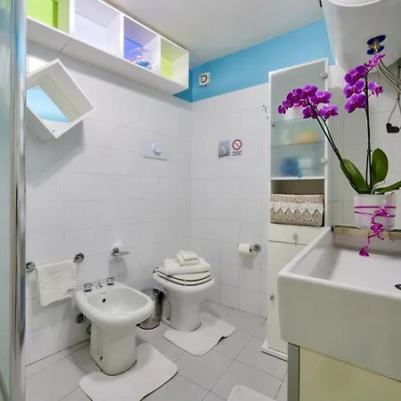 Le Petit Jolie 레코